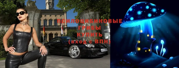 СК Абдулино